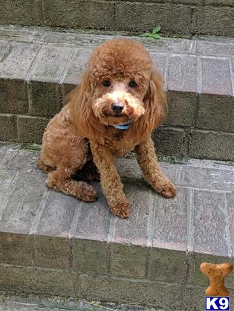 ncoombs Picture 3